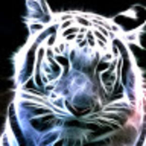 Meet your Posher, Kelsie